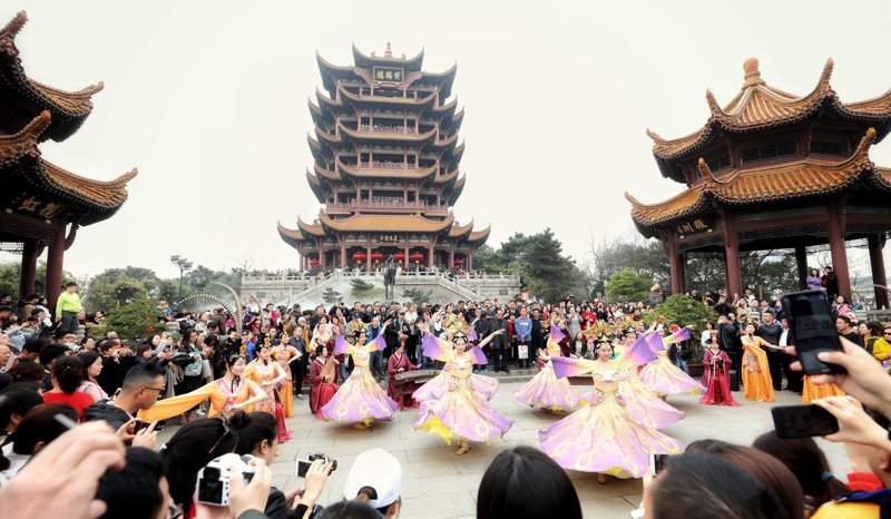 旅行社行业的动态探索：师苑的革新之路